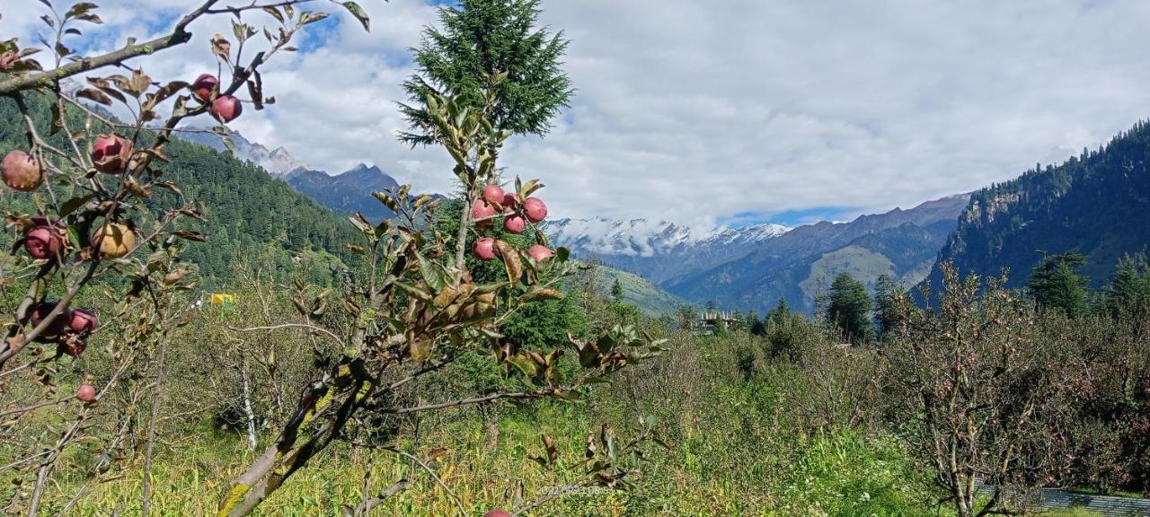 Apple Flower With Balcony And Mountain View Manāli Exteriér fotografie
