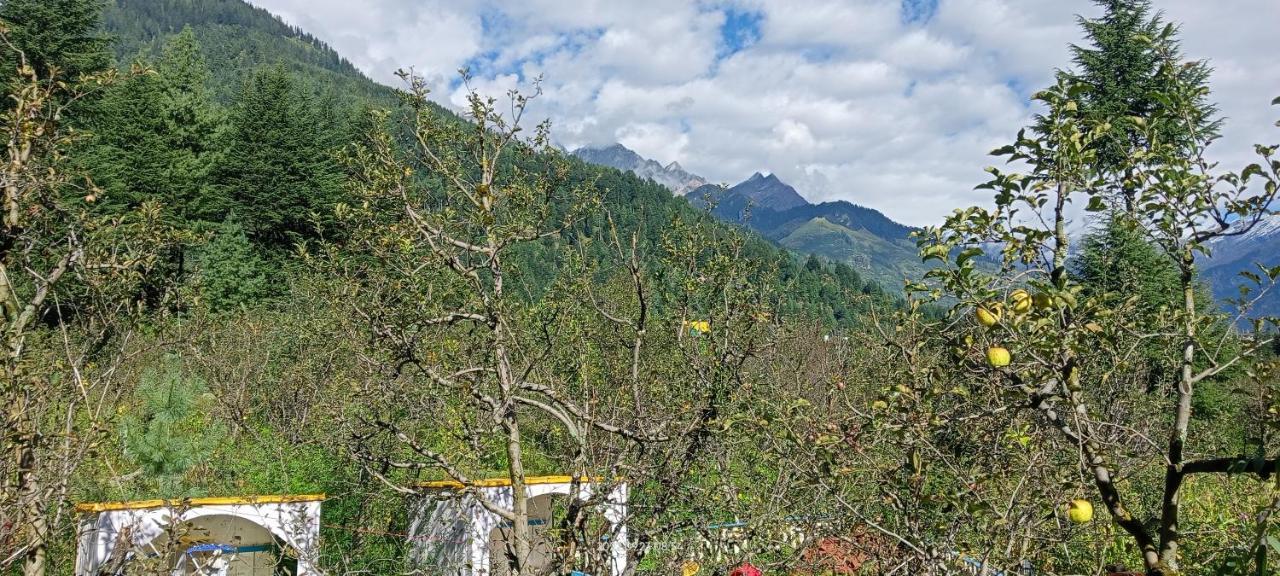 Apple Flower With Balcony And Mountain View Manāli Exteriér fotografie